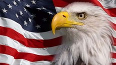 Đại bàng đầu trắng được luật hóa để trở quốc điểu nước Mỹ