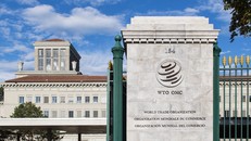 WTO: Ngọn hải đăng trong thế giới phân mảnh