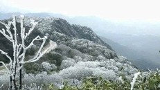 Băng giá hiện diện ở miền núi phía Tây Nghệ An