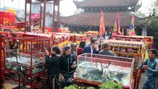 Tế cá trắm sống: Điểm nhấn tâm linh tại lễ hội đền Gin