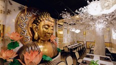 Kiến tạo không gian ẩm thực chay tương lai