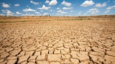 Trái Đất có thể nóng lên tới 7°C vào năm 2200