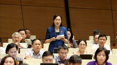 Đại biểu Quốc hội tỉnh Bắc Giang Đỗ Thị Việt Hà phát biểu. Ảnh: Phương Hoa/TTXVN