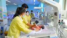 Những công dân nhí chào đời trong ngày hội non sông