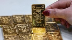 SJC thông tin về chất lượng 6.255 lượng vàng miếng trái quy định