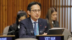 Đại sứ Đỗ Hùng Việt, Trưởng Phái đoàn thường trực Việt Nam tại LHQ, phát biểu tại phiên họp. 