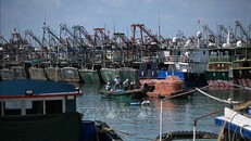 Tàu cá neo đậu tránh bão Ragasa tại cảng ở thành phố Dương Giang, tỉnh Quảng Đông, Trung Quốc ngày 23/9/2025. Ảnh: THX/TTXVN