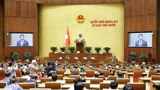 Quang cảnh phiên họp ngày 7/11/2025. Ảnh: Doãn Tấn/TTXVN