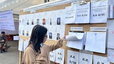 Một cử tri trẻ tuổi tìm hiểu thông tin về các ứng cử viên được giới thiệu tại điểm bầu cử. (Ảnh: Đỗ Sinh/TTXVN)