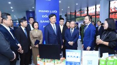 Lãnh đạo Thành phố tham quan không gian Triển lãm mạng lưới đổi mới sáng tạo Hà Nội.