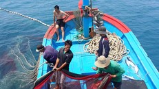 Minh bạch dữ liệu trong khai thác hải sản