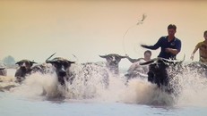 Cảnh trong phim Mùa Len trâu