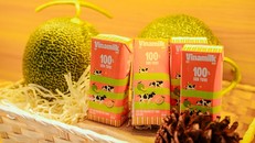 Tiên phong xu hướng dinh dưỡng mới, Vinamilk “gặt” kết quả tăng trưởng hai chữ số trong quý I/2026