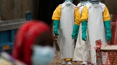 Báo động số nhân viên y tế tử vong do dịch Ebola