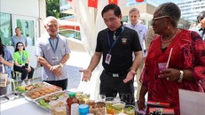 Ấn tượng gian hàng của Việt Nam tại WTO Open Day 2026
