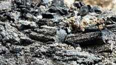 Những thanh dầm gỗ bị cháy được phát hiện tại Thành phố David. Ảnh: Cơ quan Cổ vật Israel