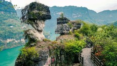 LHQ thúc đẩy nỗ lực bảo vệ đa dạng sinh học toàn cầu