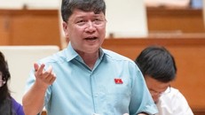 Phó Chủ nhiệm Ủy ban Văn hóa và Xã hội của Quốc hội Tạ Văn Hạ