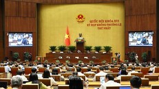 Thông cáo báo chí số 08 Kỳ họp không thường lệ thứ nhất, Quốc hội khóa XVI