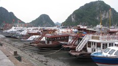 Dân Quảng Ninh chằng nhà, gặt lúa chạy đua với bão