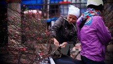 'Chốt' phương án nghỉ Tết Âm lịch 7 ngày để trình Chính phủ