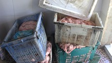  Lực lượng chức năng tịch thu số mỡ bẩn để tiêu hủy. Ảnh: Nguyên Vũ.