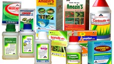 Loại bỏ hơn 300 nhãn hiệu thuốc bảo vệ thực vật