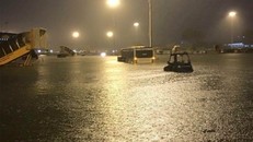 Cảnh bãi đậu sân bay Tân Sơn Nhất mênh mông nước 