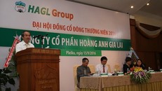 Chủ tịch HAGL Đoàn Nguyên Đức trả lời câu hỏi của cổ đông. Ảnh: HAGL