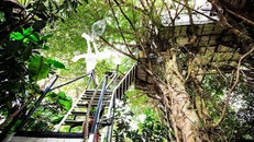 Những ngôi nhà cây này được họa sĩ Đào Anh Khánh xây dựng từ năm 1995 và hoàn thiện qua thời gian, nằm trong ngõ trên đường Ngọc Thụy, Long Biên, Hà Nội, hiện dành cho khách du lịch thuê dưới dạng homestay.