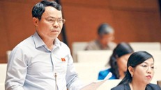 Theo Đại biểu Nguyễn Tiến Sinh (Hòa Bình) đề nghị không coi bản kê khai tài sản là bí mật đời tư. Ảnh: Như Ý.