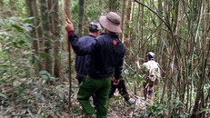 Lực lượng cứu hộ huyện Di Linh lục tung cánh rừng để tìm kiếm anh Lộc. Ảnh: Khánh Hương