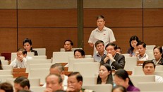 Phó Chủ nhiệm Ủy ban Đối ngoại Nguyễn Sỹ Cương