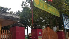 Hạt trưởng kiểm lâm nhận hàng trăm triệu tiền bao che trùm buôn lậu gỗ