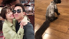 Trấn Thành bức xúc với Hari Won vì con mèo 3.000 USD