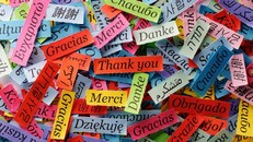Từ "Cám ơn" được viết bằng nhiều thứ tiếng (Ảnh: Daily Sabah)