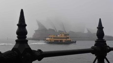 Một số chuyến phà ở Sydney đã buộc phải ngừng hoạt động do sương mù vào sáng thứ Hai. (Ảnh: Mick Tsikas/AAP)