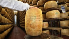 Nhà máy phô mai ở Parma, Ý (Ảnh: Travel and Leisure)