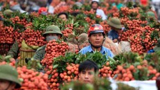 (Ảnh: Vietnam Insider)