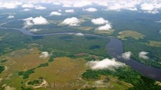 Congo: Vườn quốc gia Salonga được đưa ra khỏi Danh sách Di sản Thế giới đang bị đe dọa