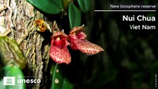 20 Khu dự trữ sinh quyển thế giới vừa được UNESCO công nhận - Phần 1