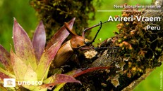 20 Khu Dự trữ sinh quyển thế giới vừa được UNESCO công nhận (Phần 2)