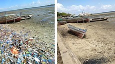 Hình ảnh trước và sau của một phần hoạt động dọn dẹp bãi biển do thanh niên ở Lamu, Kenya thực hiện. Ảnh: Maureen Kombo