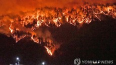 Hàn Quốc hỗ trợ người dân bị ảnh hưởng trong thảm họa cháy rừng 
