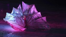 Một vũ công biểu diễn trong lễ khai mạc Đại hội thể thao Đông Nam Á lần thứ 31 tại Hà Nội.