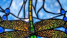 Đèn Tiffany Chuồn chuồn trên mặt nước