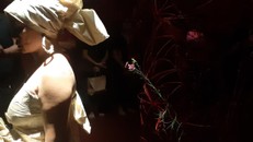 Cô dâu của đêm trăng. 