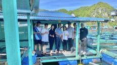 CLEAN UED - Thử nghiệm và bàn giao mô hình thiết bị thu gom rác nổi tự động