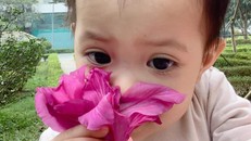 Suốt ngày hỏi yêu