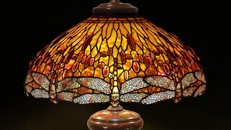 Chao đèn chuồn chuồn màu hổ phách - Đường kính 22" 